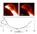 coronal loops